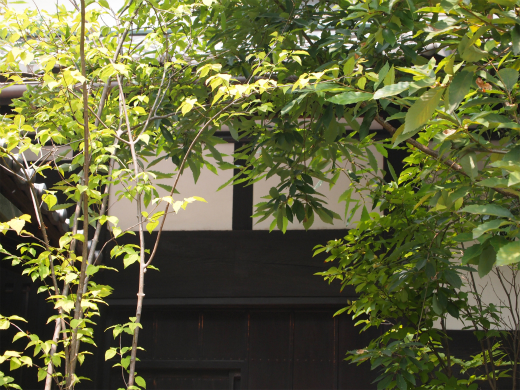 midorinoaachi midorinoaachi