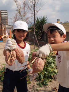 いもほり2012-3