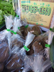 飛行機山ファーム3