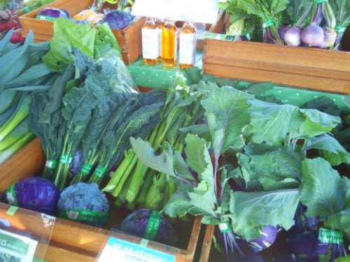 飛行機山ファーム0