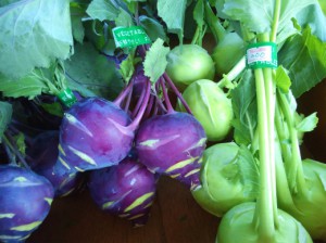 飛行機山ファーム2