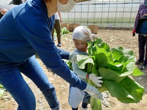 20230423_101943 20230423_101943