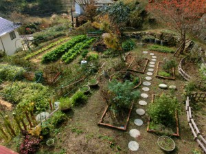 プラシャンティ5