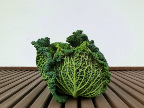 チリメンきゃべつ