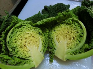 チリメンキャベツ2