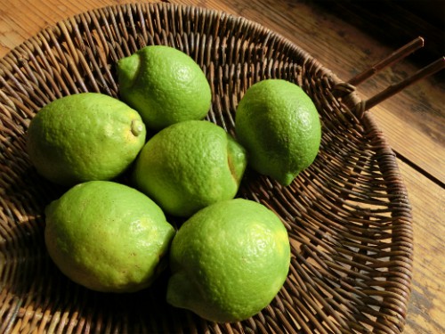 瀬戸田レモン 瀬戸田レモン