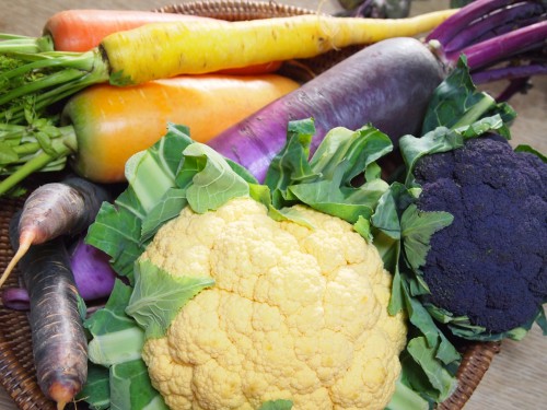 かるべさん かるべさん