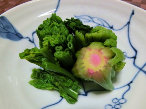 ホウレンソウの根