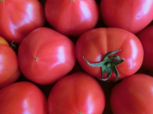 トマトソースうどん１