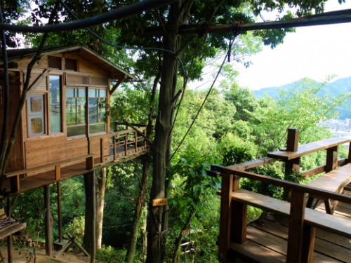 金堀ツリーハウス１