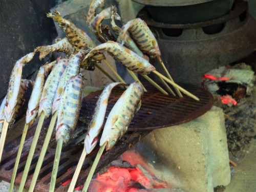 金堀ツリーハウス４