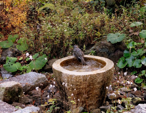 正月二日④ 正月二日④