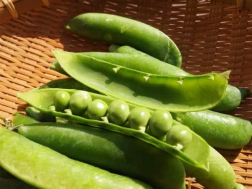 FB_IMG_1489273237463