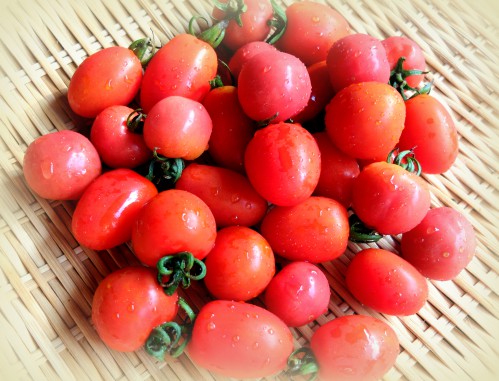 愛のトマト