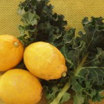 プチベール２－１