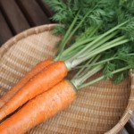 にんじん