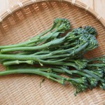 スティックセニョール