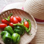 ピーマン炒め２