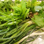 ＨＰ用レガーレ⑤