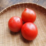 トマト大