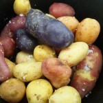 じゃがいも大 (2)