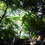 広島現代美術館２