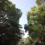 広島現代美術館５