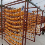 安芸太田の秋５