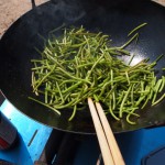 いもほり２０１２－５