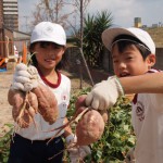 いもほり２０１２－３