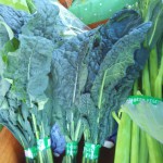 飛行機山ファーム１