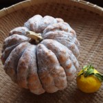 日本かぼちゃ１