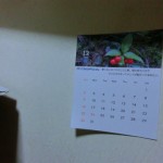 カレンダー２０１３－２