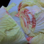 白菜ミルフィーユ