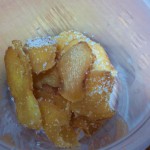 ジンジャー２ (2)