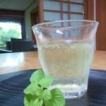 ジンジャー１ (2)