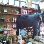 ぞうさんカフェ３