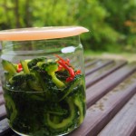 ゴーヤーのピクルス