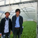 今田コマツナ２