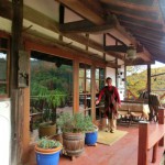 プラシャンティ４