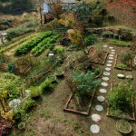 プラシャンティ５