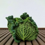 チリメンきゃべつ