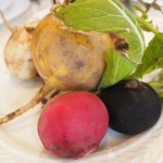 野菜イメージかぶ